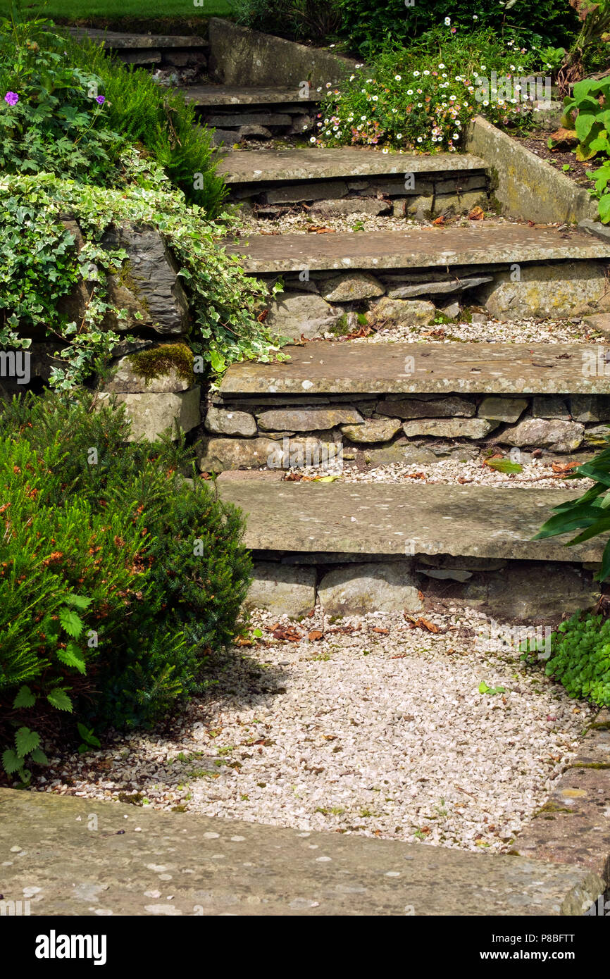 Jardín de verano madura arbustos hacinados junto con losa de piedra rústica senda pasos. Foto de stock