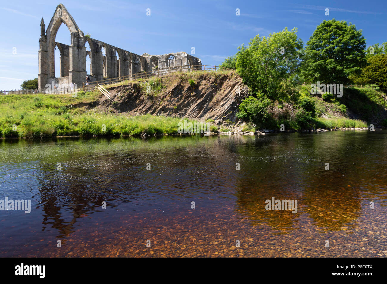 El río Wharfe con Bolton Abbey en el fondo, Skipton, North Yorkshire, Inglaterra, Reino Unido. Foto de stock