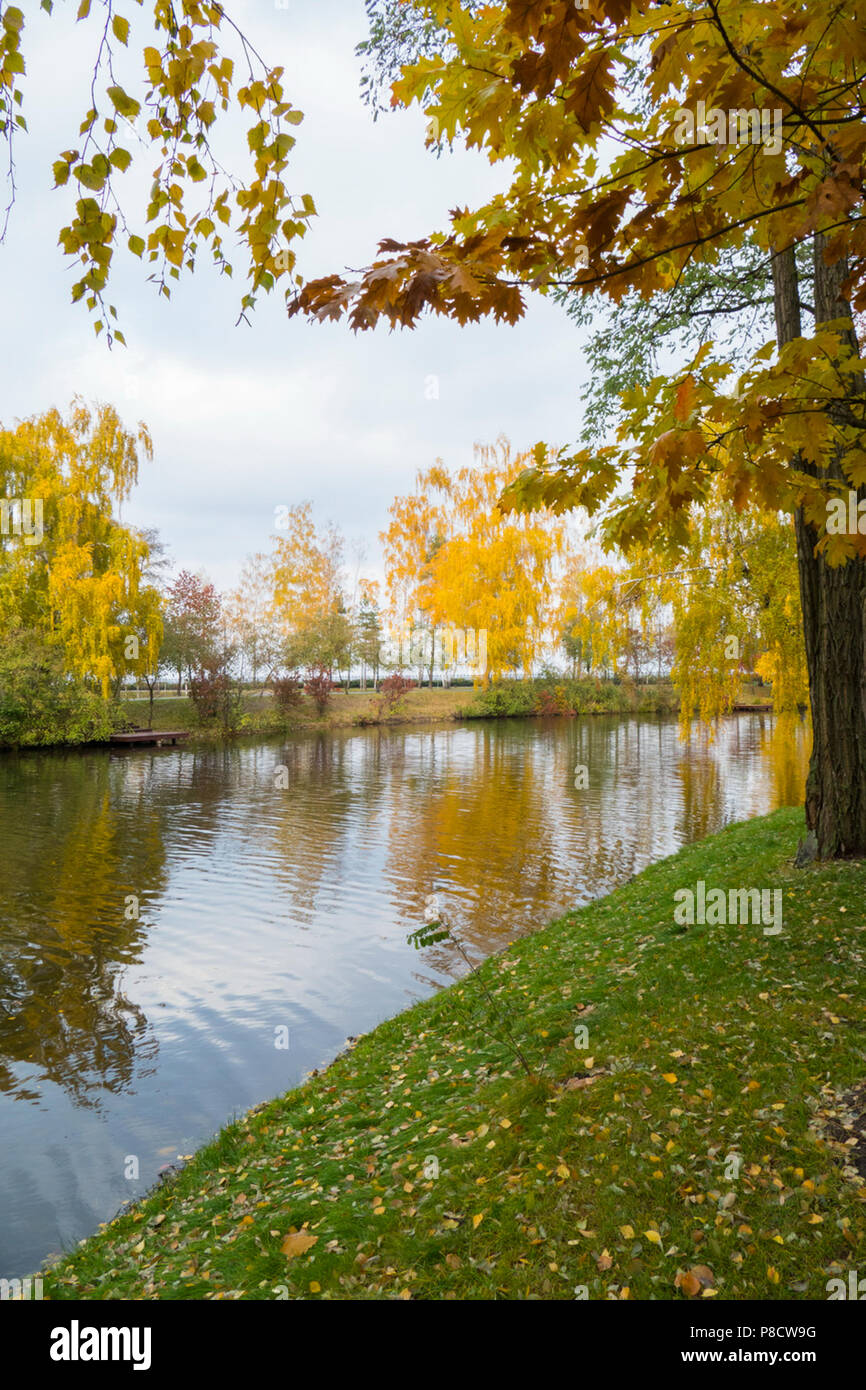 Un magnífico día de otoño paisaje con árboles que crecen en la orilla del  río, vestidos con trajes de otoño y las hojas caídas en el césped. . Para  su Fotografía de
