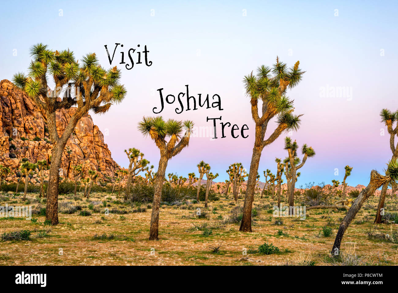 Concepto de viaje. Fotografía de Joshua Tree National Park. California, EE.UU. Foto de stock
