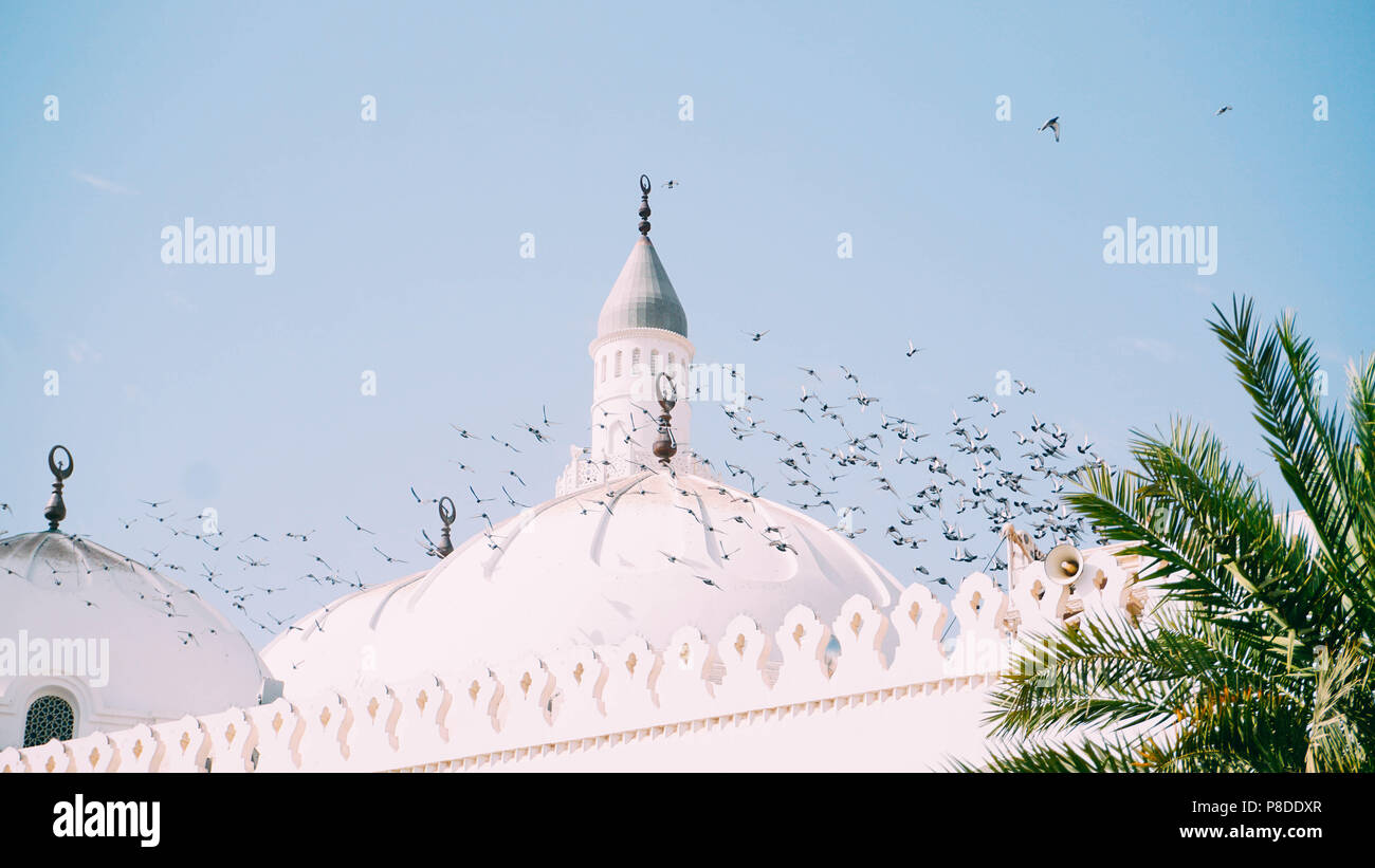 Vista diaria en la cúpula de la mezquita Quba, aves que volaban y encaramado en la cima de la cúpula. Foto de stock