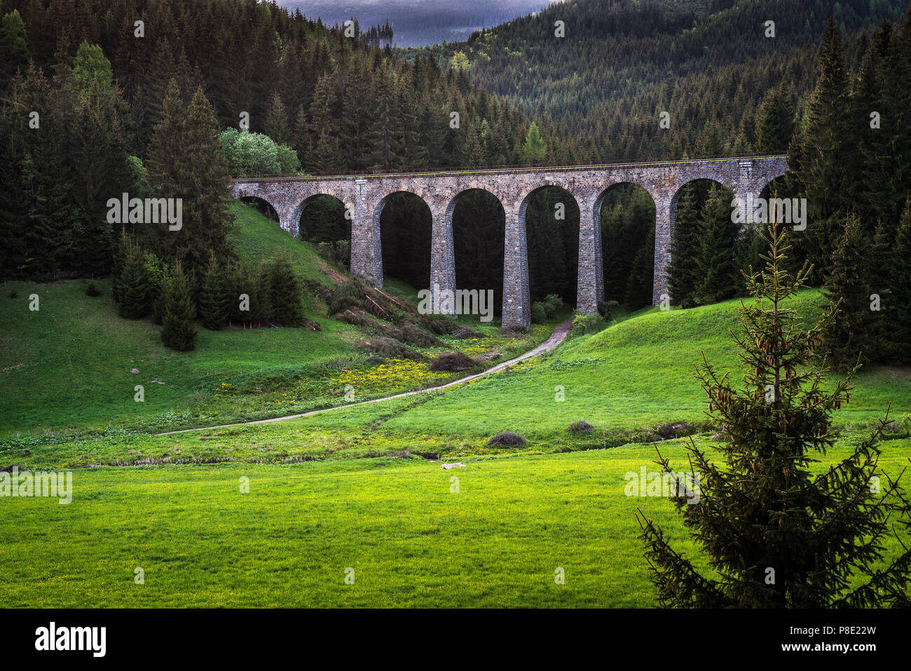 Viaducto Ferroviario histórico cerca Telgart en Eslovaquia Foto de stock