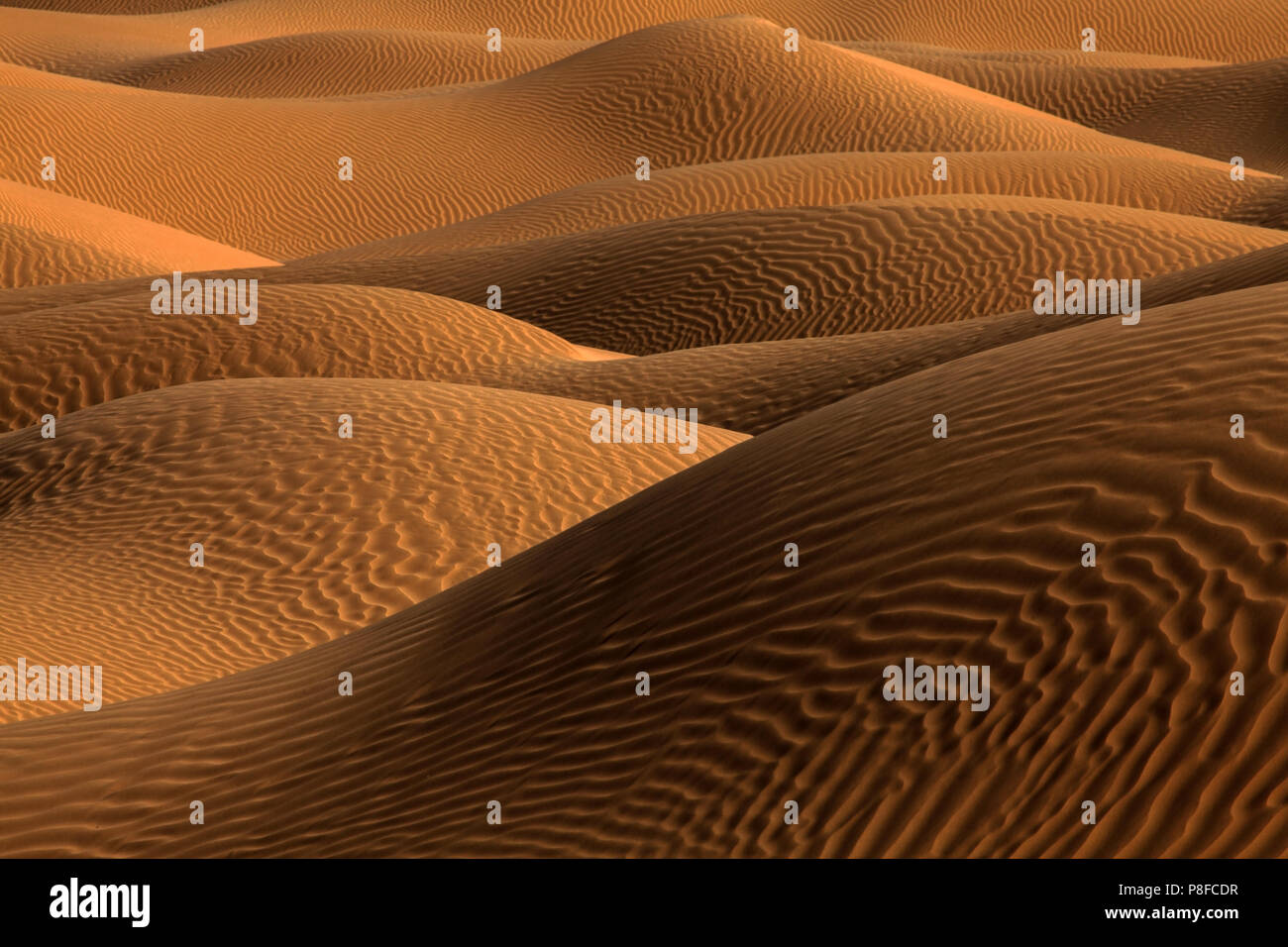 Las dunas de arena en el desierto, Arabia Saudita Foto de stock