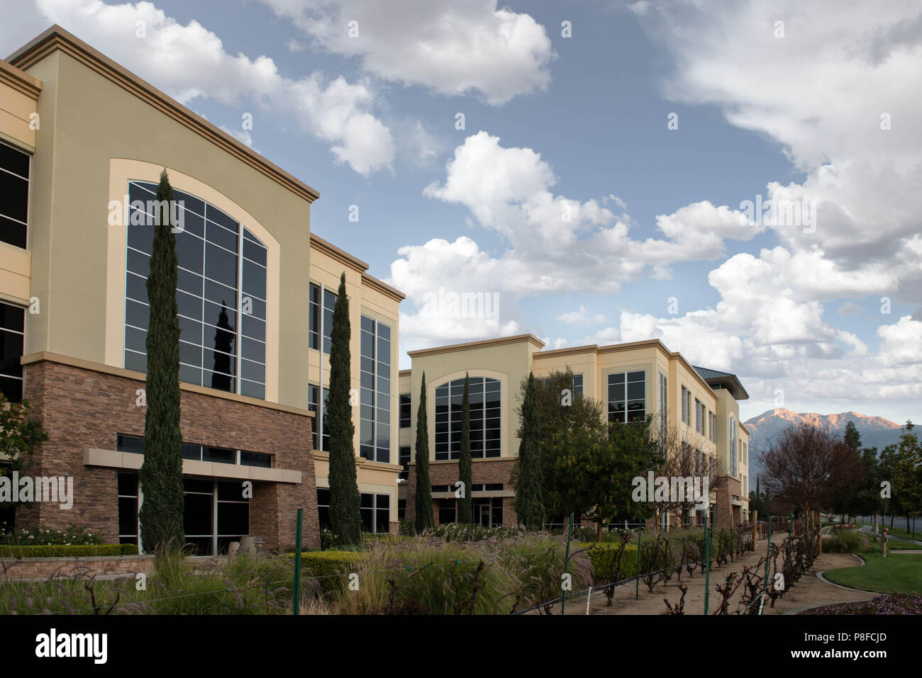 Exterior de un edificio de oficinas corporativas, California, Estados Unidos, EE.UU. Foto de stock