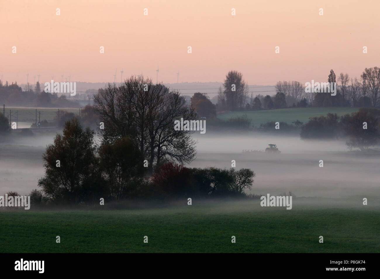 Goerlsdorf, Alemania, la niebla de la mañana sobre los campos de Uckermark Foto de stock