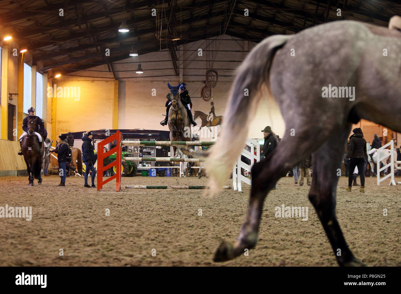 Neustadt (Dosse), caballos y jinetes en invierno en un torneo en el salón de la competencia Foto de stock