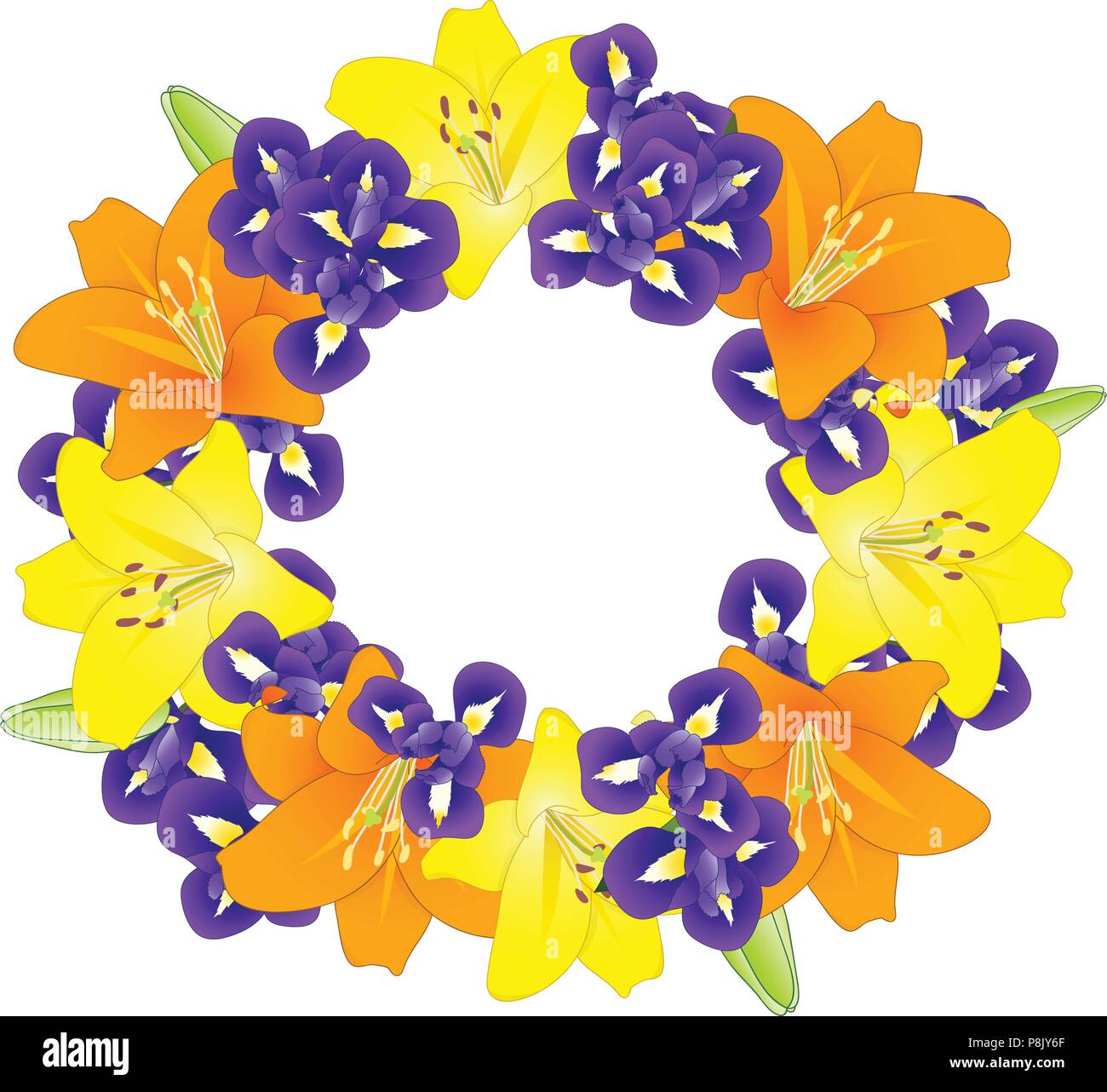 Amarillo, naranja y el Lirio Iris azules guirnalda de flores sobre fondo  blanco. Ilustración vectorial Imagen Vector de stock - Alamy