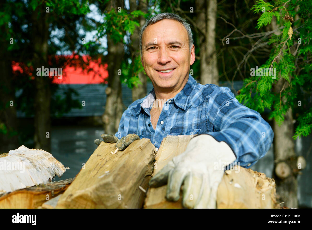 Un hombre de 50 años de edad caucásico vistiendo una camisa azul está sonriendo a nosotros mientras hinca su madera para la temporada de invierno, a fin de calentar la casa. Foto de stock