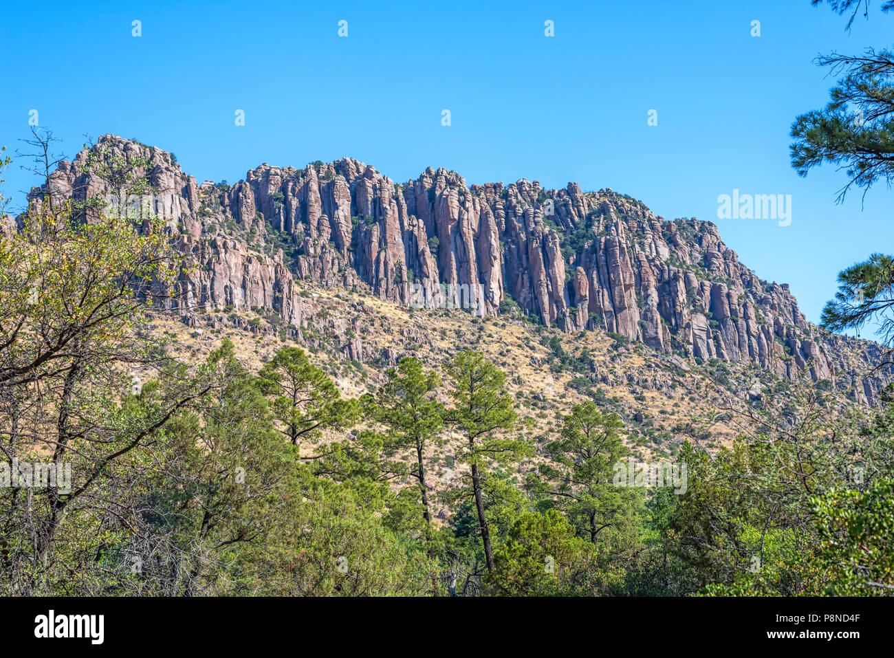 Montaña y árboles en el Monumento Nacional Chiricahua. Wilcox, Arizona, EE.UU. Foto de stock
