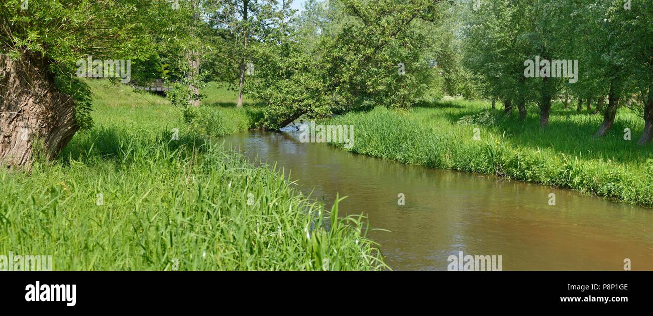 Río de Swalm en la provincia Limburgo Foto de stock