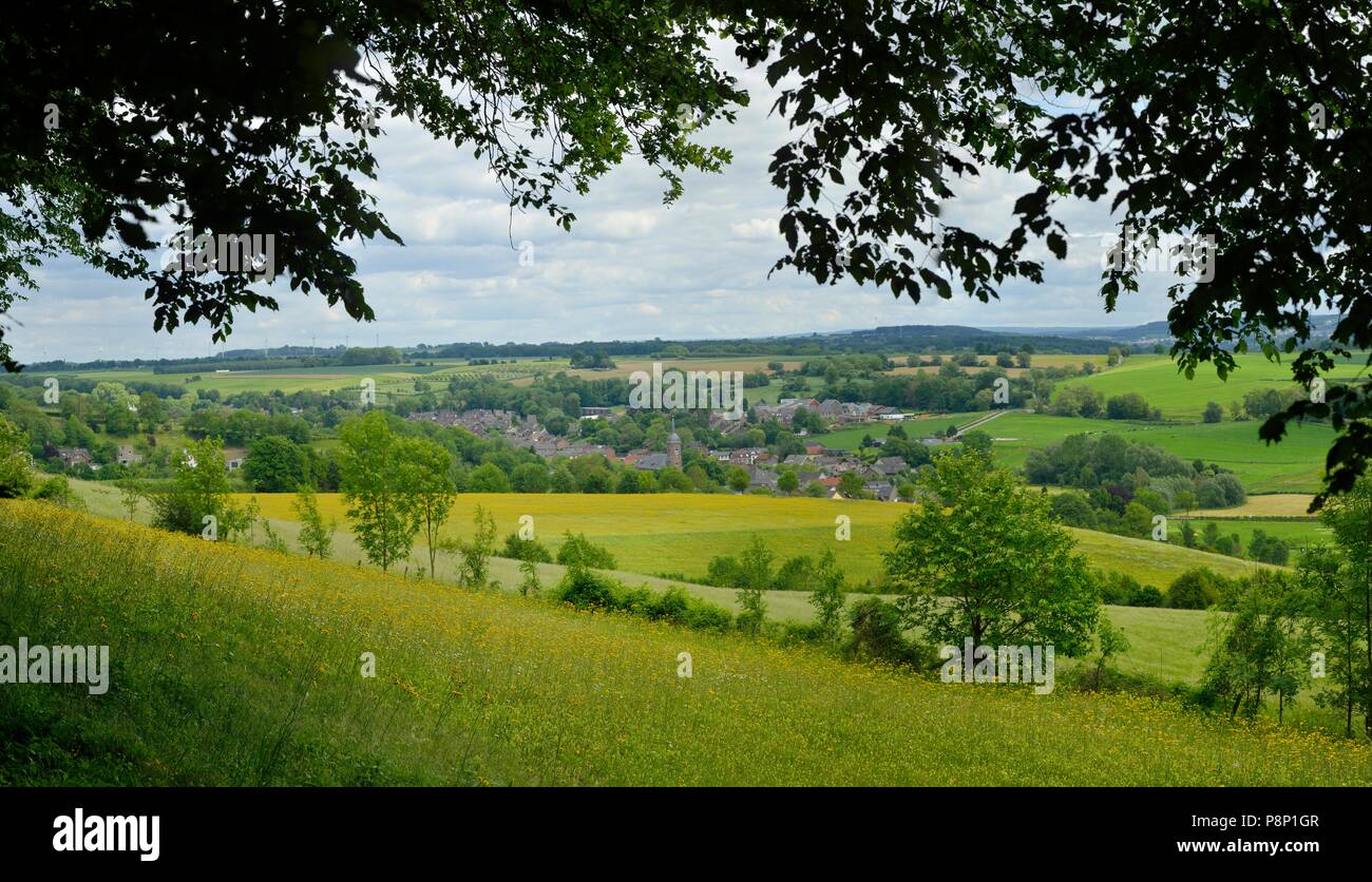 Chalk hill vegetación en la provincia Limburgo Foto de stock