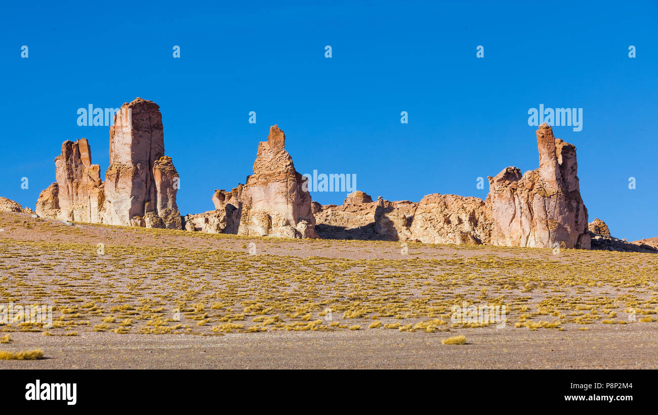 Ignimbrita columnas formadas por erosión eólica en lo alto de los Andes Foto de stock