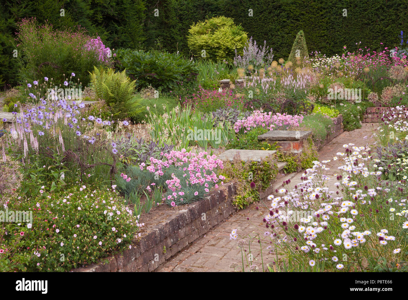 Newby Hall y jardines, Ripon, North Yorkshire, Reino Unido. El verano, de julio de 2018. Foto de stock