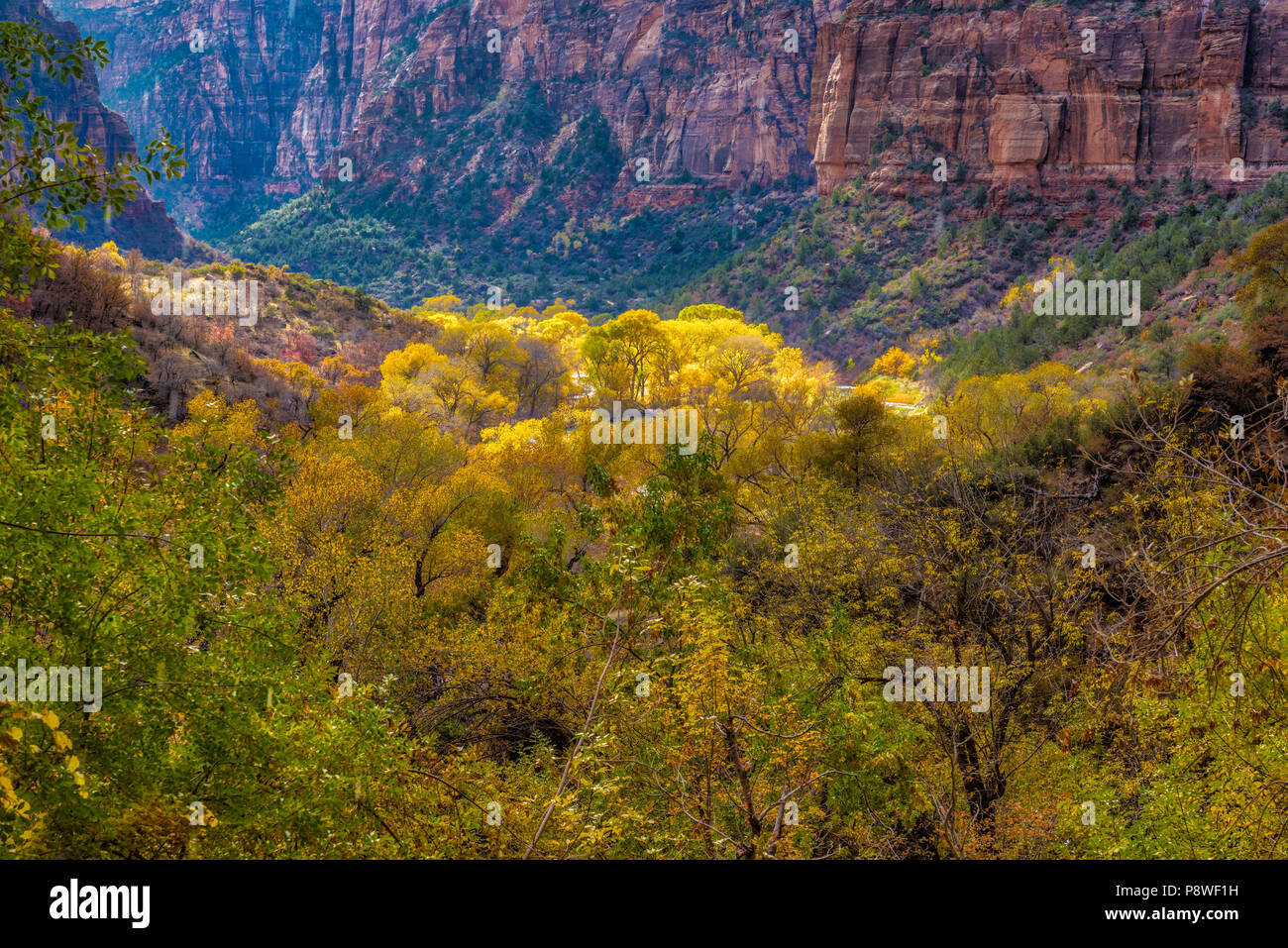 Colores del Otoño en Zion Canyon, Parque Nacional Zion, Utah. Foto de stock