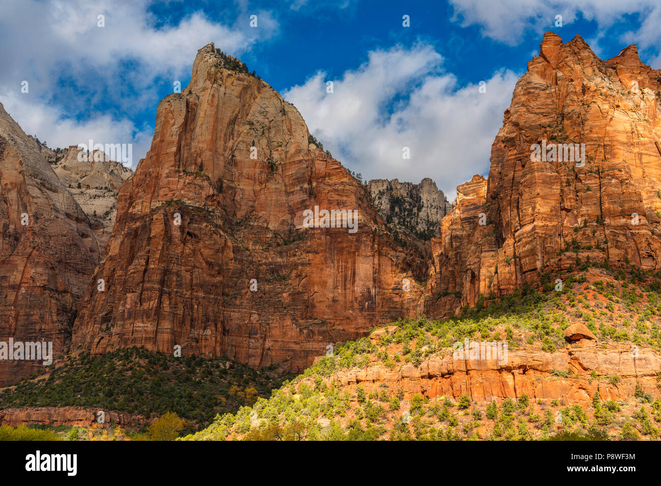 Tribunal de los Patriarcas, montañas en el Parque Nacional de Zion, Utah. Foto de stock