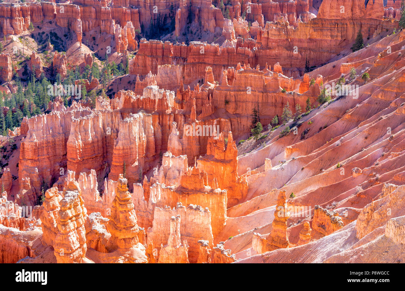 Amanecer al amanecer en el Parque Nacional Bryce Canyon en Utah Foto de stock