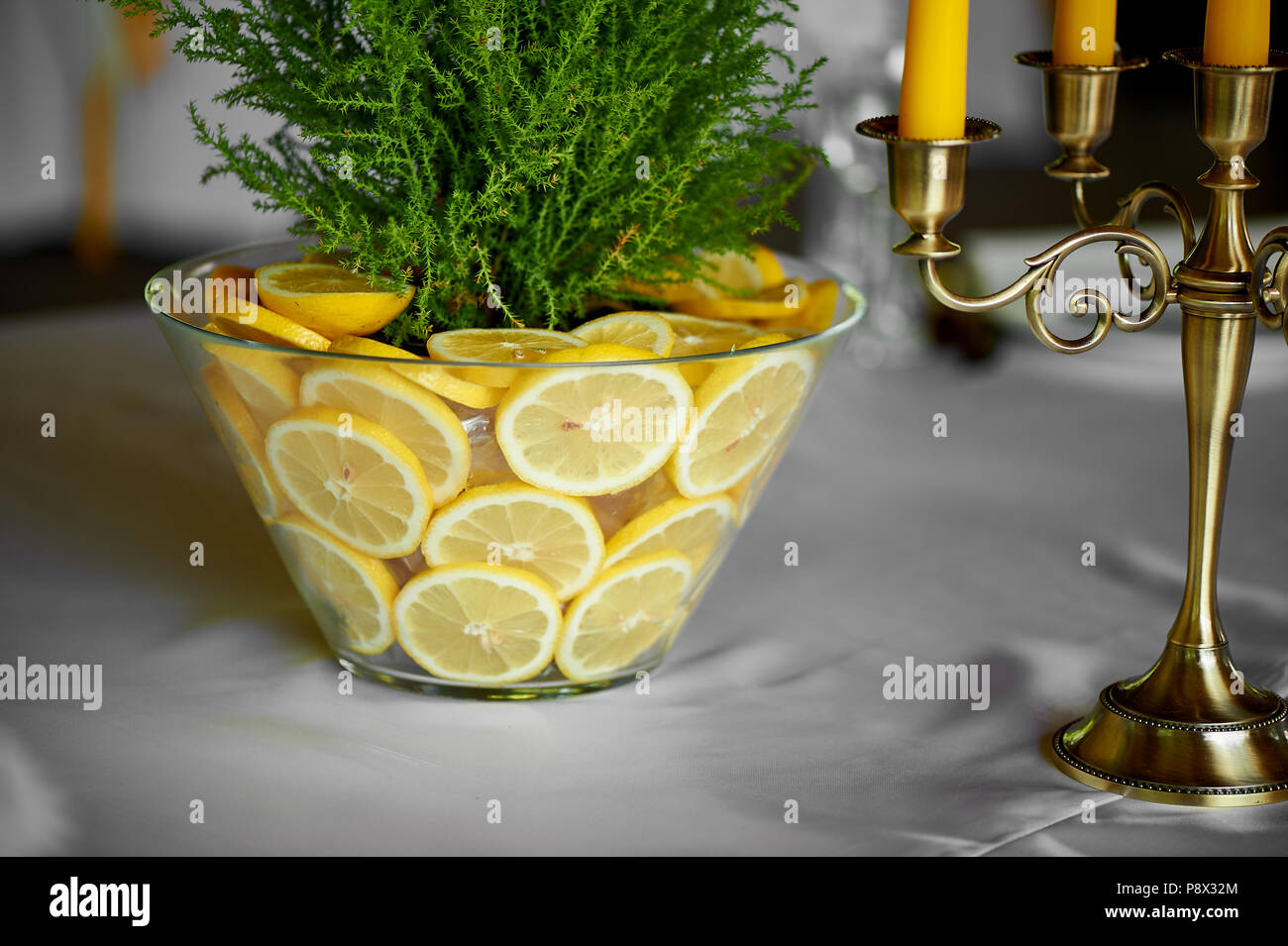 Ciprés en un jarrón decorado con limones. Fresca y jugosa  combinación.decoración de la Mesa en el banquete de bodas Fotografía de  stock - Alamy
