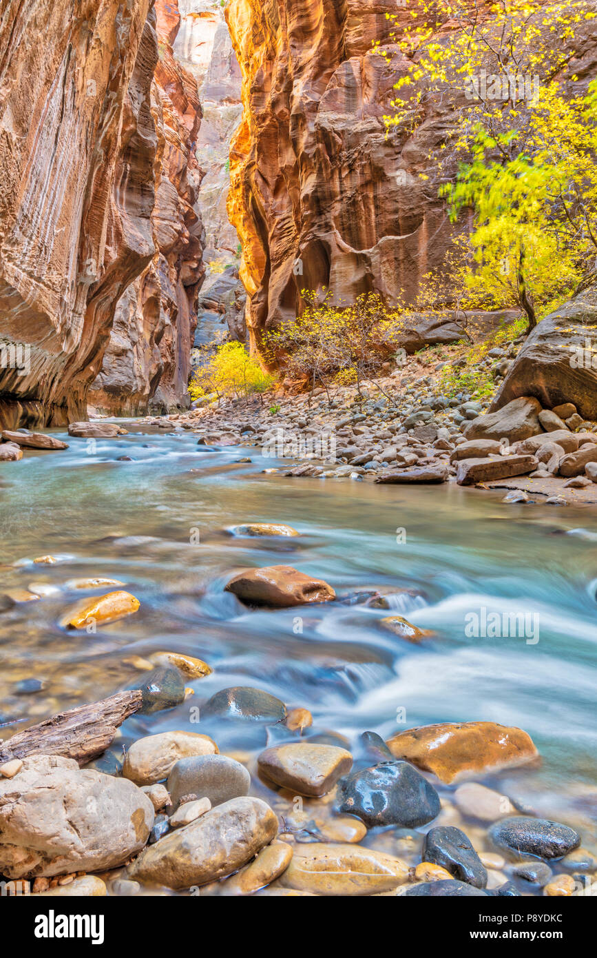 Virgin River limita con el Parque Nacional de Zion, Utah. Foto de stock