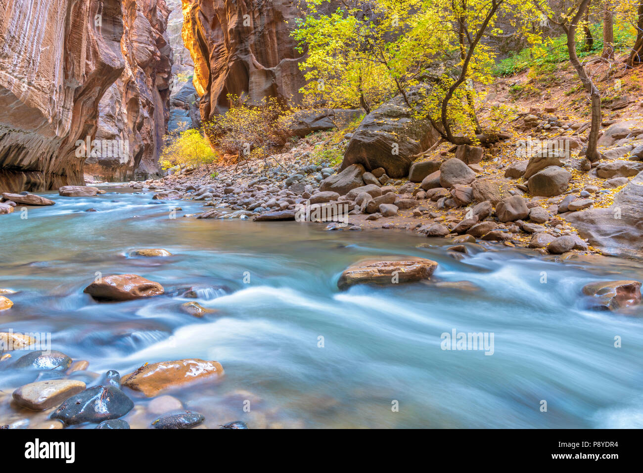 Virgin River limita con el Parque Nacional de Zion, Utah. Foto de stock