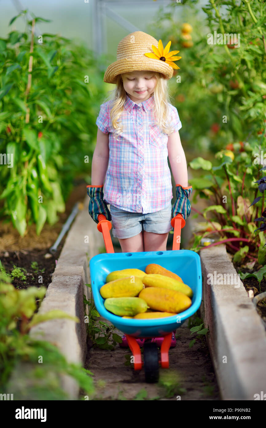 Adorable niña vestidos de sombrero de paja y guantes de jardín de niños  jugando con sus juguetes y herramientas de jardinería una carretilla en un  invernadero en verano soleado Fotografía de stock -