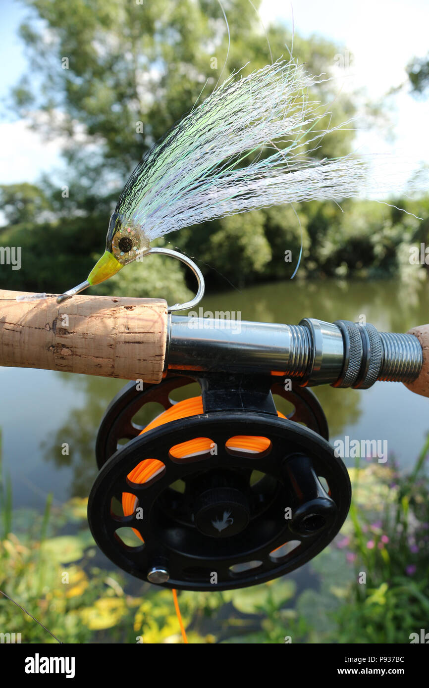 Una tienda compraron pesca mosca diseñado para atrapar peces depredadores  retratada en un día soleado en el banco del río y destina para pescar  lucios. North Dorset Fotografía de stock - Alamy