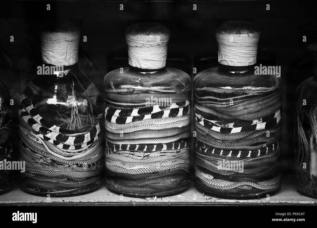 Coloridos botes de serpiente fermento de vino en los estantes de una tienda - Hanoi, Vietnam Foto de stock