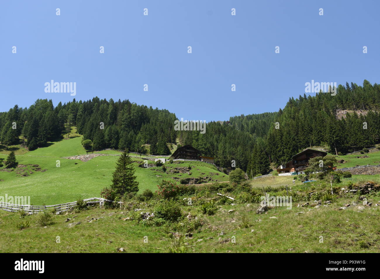 Osttirol, Lienz, Villgraten, Villgrater Berge, Landwirtschaft, Bauernhof, Bergbauer, Bergbauernhof, Österreich, Tirol, tradición, colgar, steil, Wiese, Foto de stock