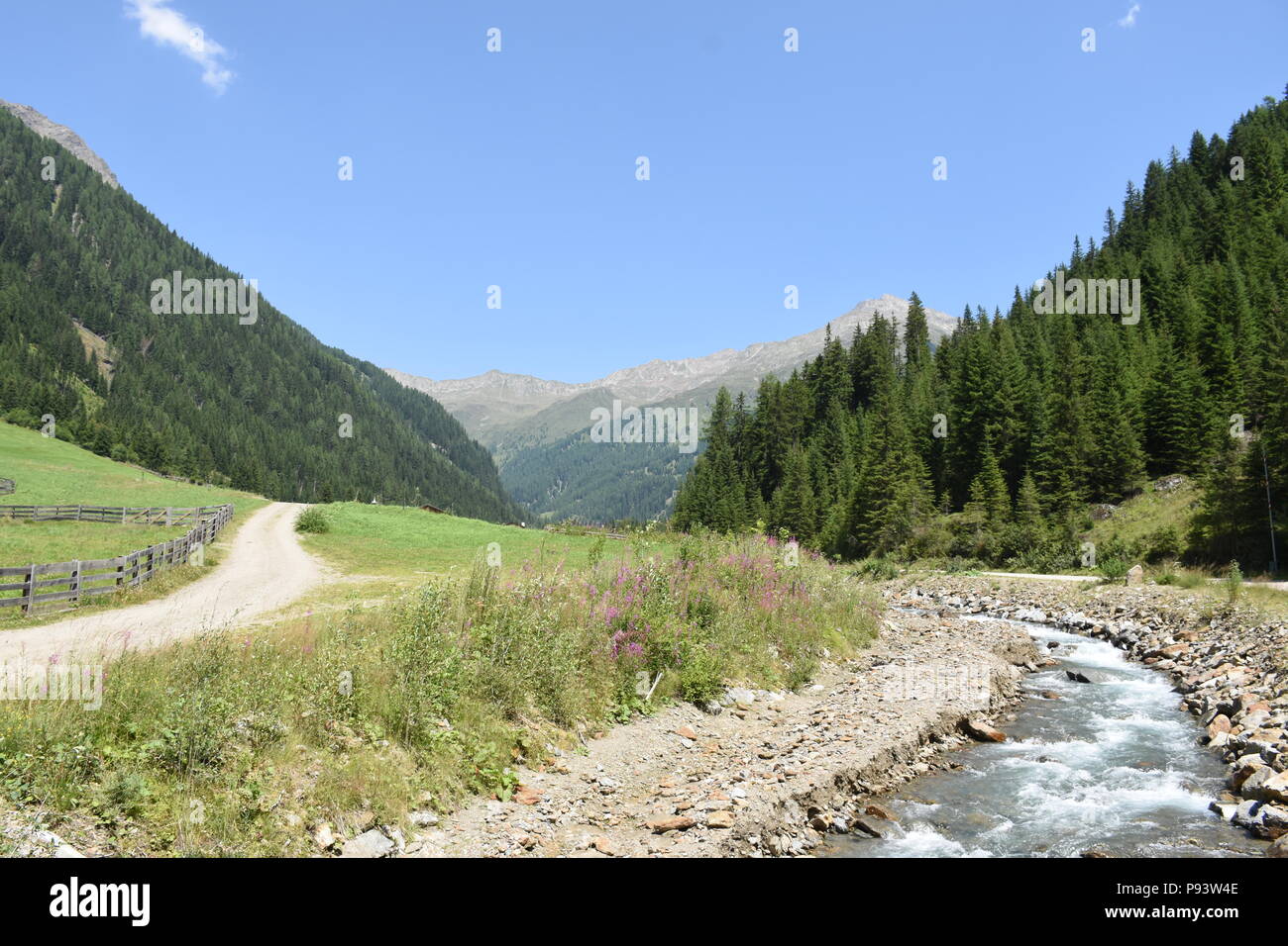 Osttirol, Lienz, Villgraten, Villgrater Berge, Landwirtschaft, Bauernhof, Bergbauer, Bergbauernhof, Österreich, Tirol, tradición, colgar, steil, Wiese, Foto de stock