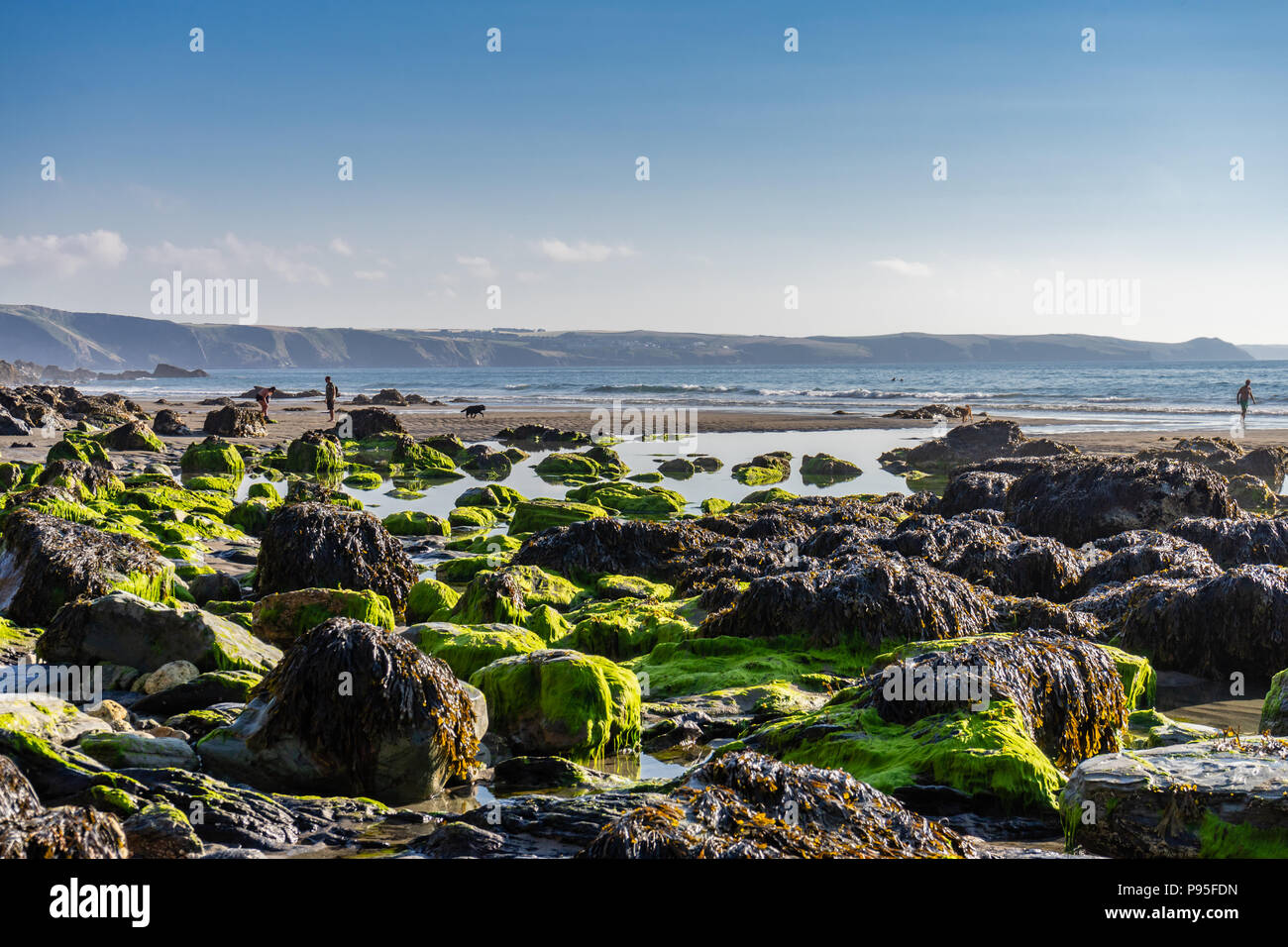 Rocas en la playa Tregardock durante la marea baja en verano de 2018, el norte de Cornwall, Cornwall, Inglaterra, Reino Unido. Foto de stock