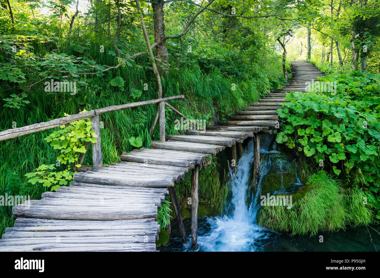 El Parque Nacional de los lagos de Plitvice (Croacia). Ruta de madera a través de verdes bosques y sobre el agua Foto de stock