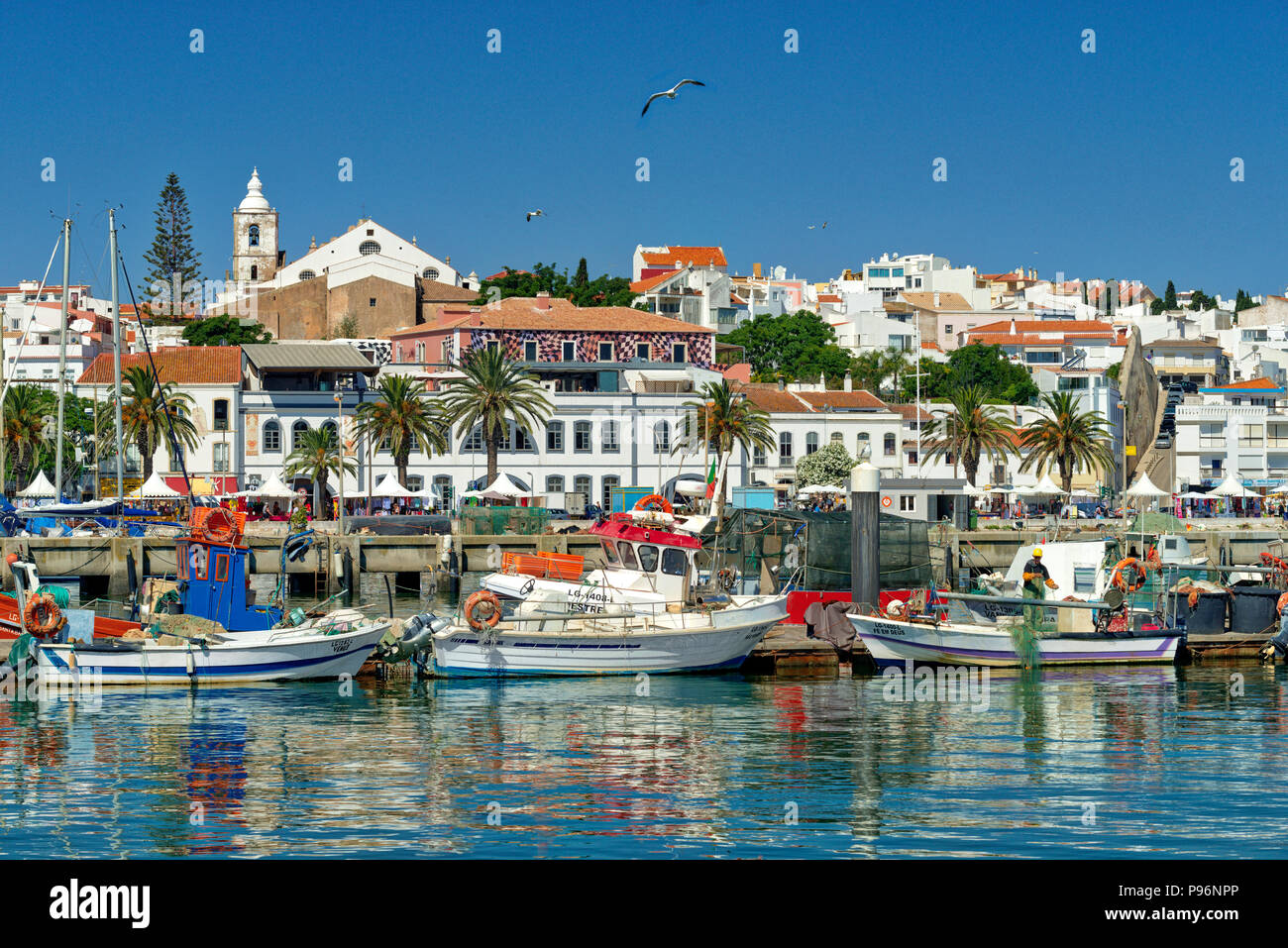 El puerto de Lagos, Algarve, Portugal Fotografía de stock -
