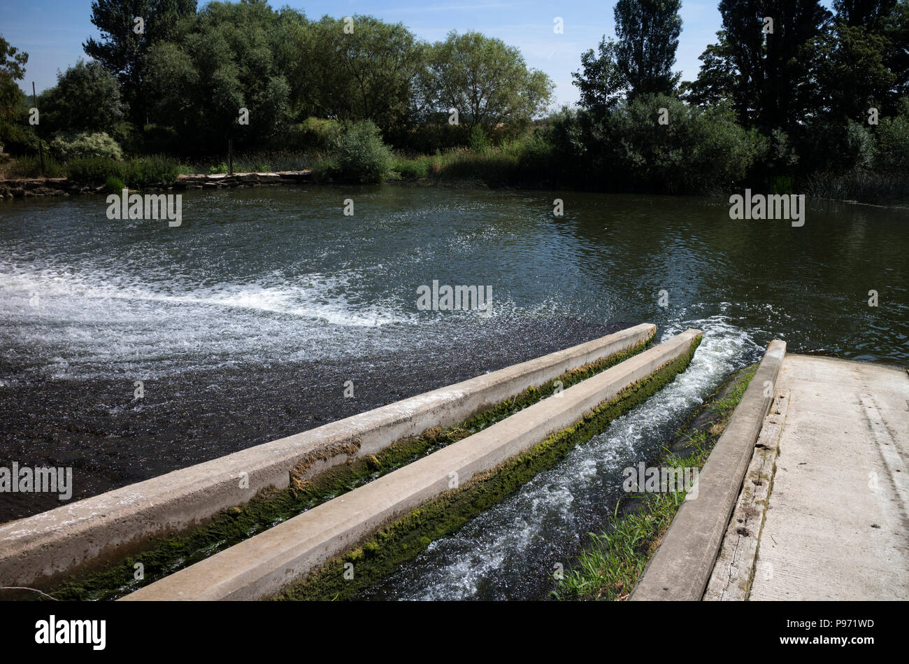 Pescados y elver pasa sobre el río Avon a Fladbury, Worcestershire, Inglaterra, Reino Unido. Foto de stock