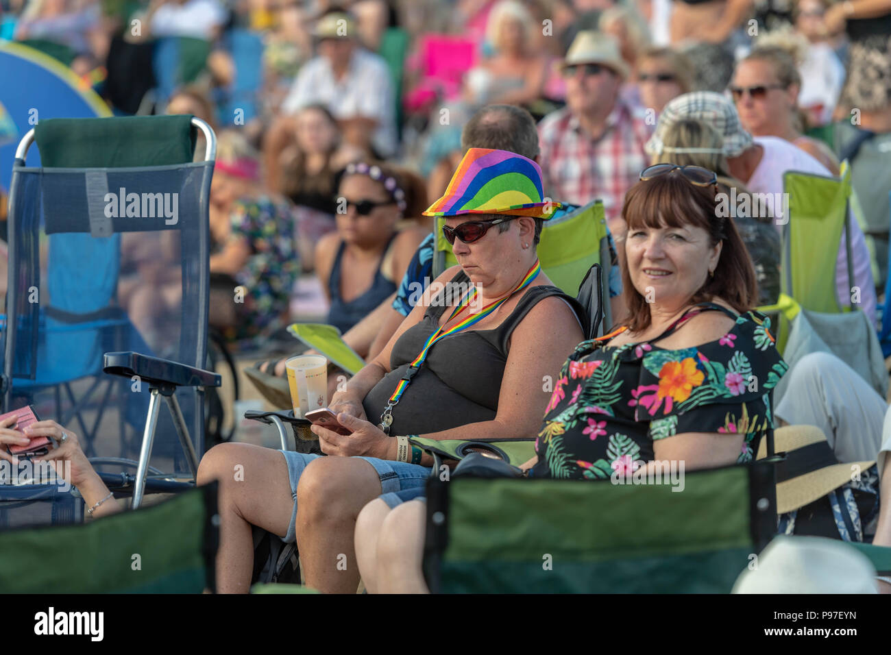 El Brentwood Essex, el 15 de julio de 2018 Brentwood Music Festival 2018 en el centro de Brentwood Con el grupo de pop rock y fans Toploader Ian Davidson Crédito/Alamy Live News Foto de stock