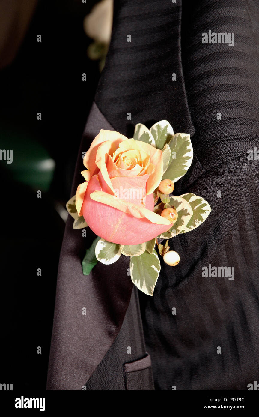 Flor en la solapa imágenes de alta resolución - Alamy
