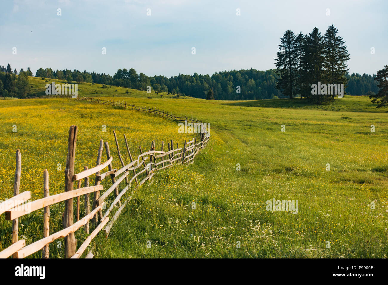La hermosa campiña en Bosnia y Herzegovina en una soleada tarde de verano Foto de stock