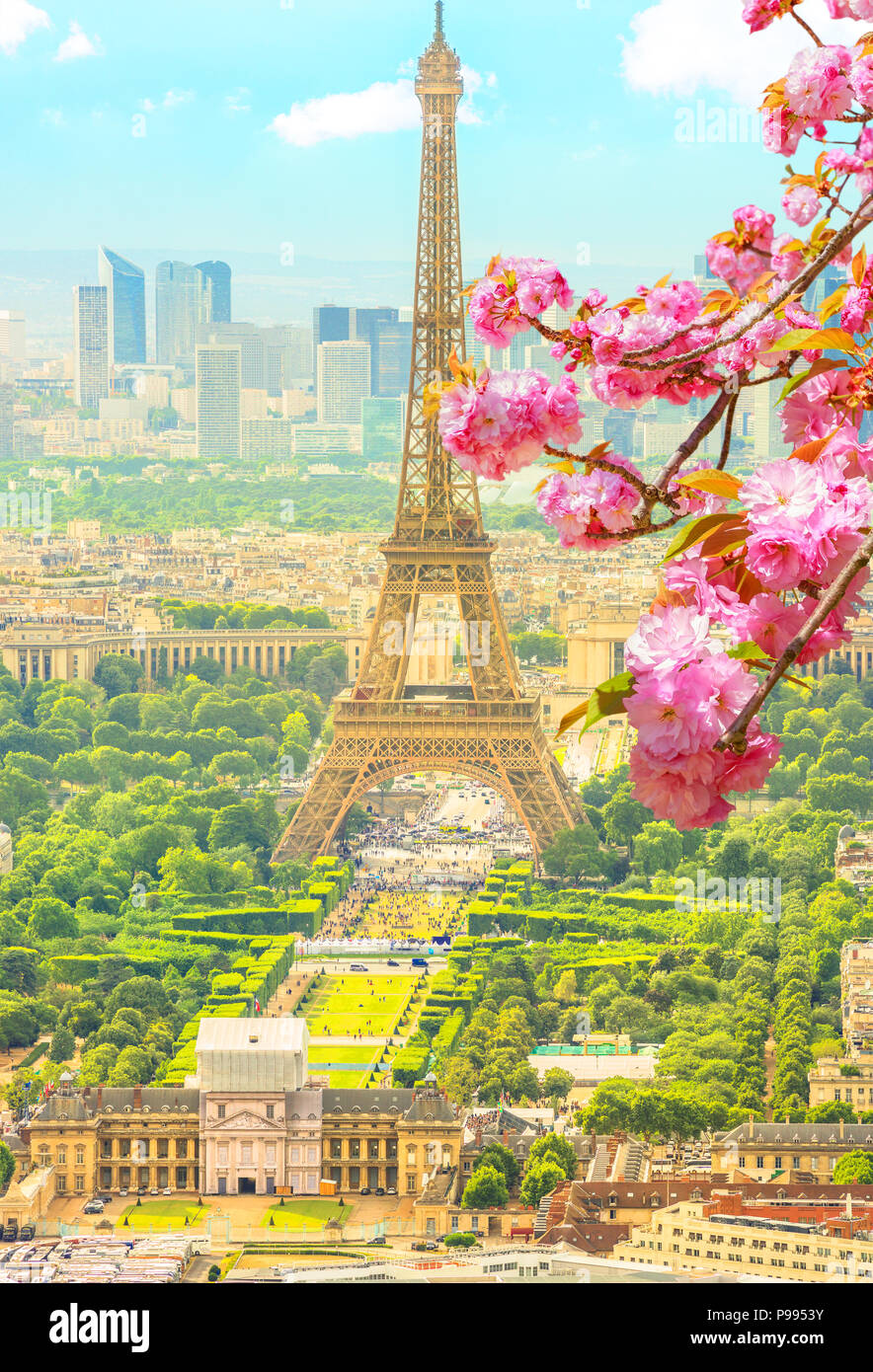 Rama de cerezo en flor en primer plano y el paisaje urbano de rascacielos  de París con la Torre Eiffel de fondo. Temporada de fondo pintoresco. Papel  tapiz escénica con la Torre