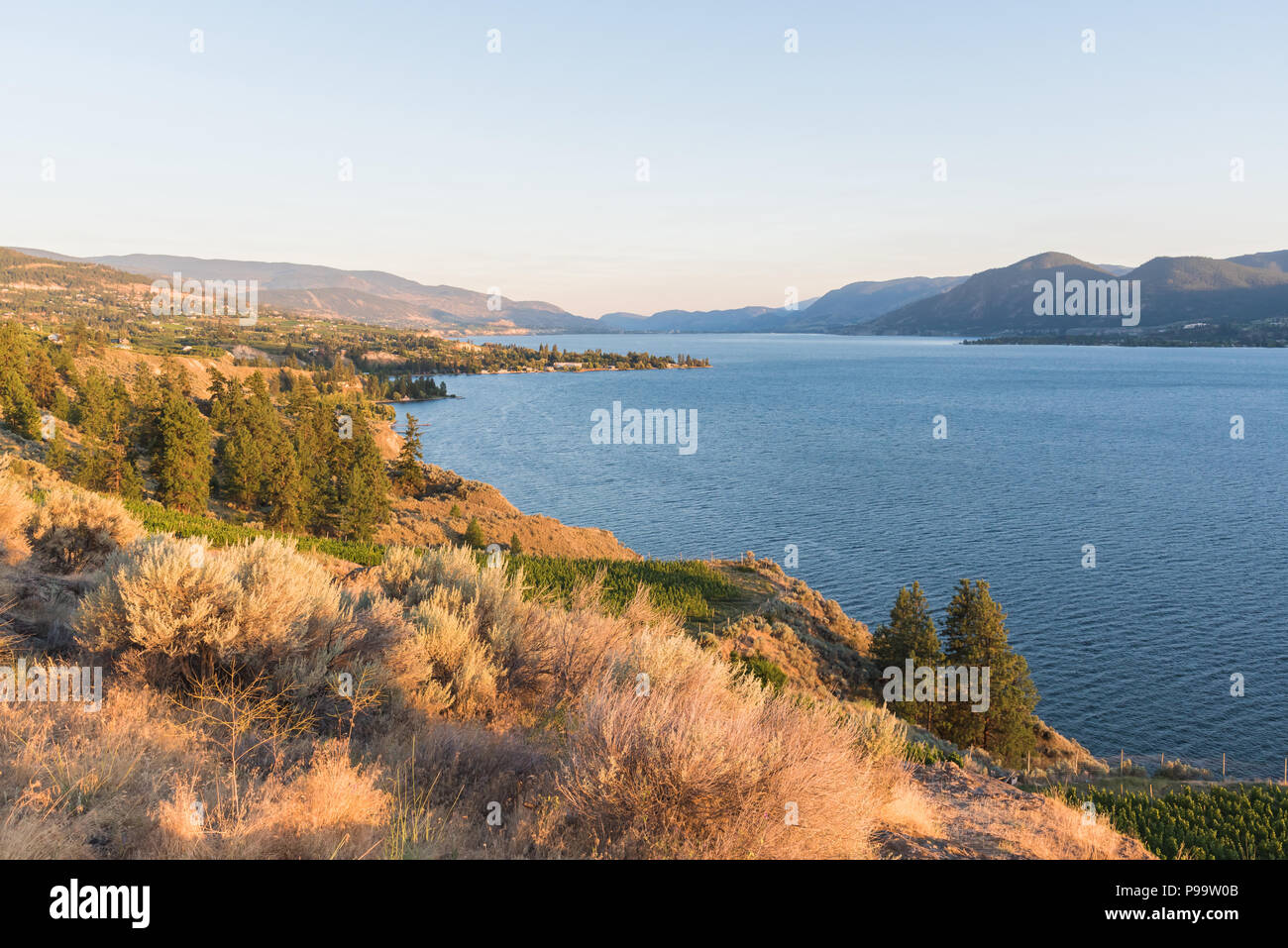 Vista de la banqueta Naramata, del lago Okanagan, y montañas, mirando al sur hacia Penticton al atardecer Foto de stock