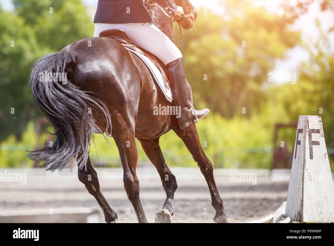 Joven en caballo en competición ecuestre Foto de stock