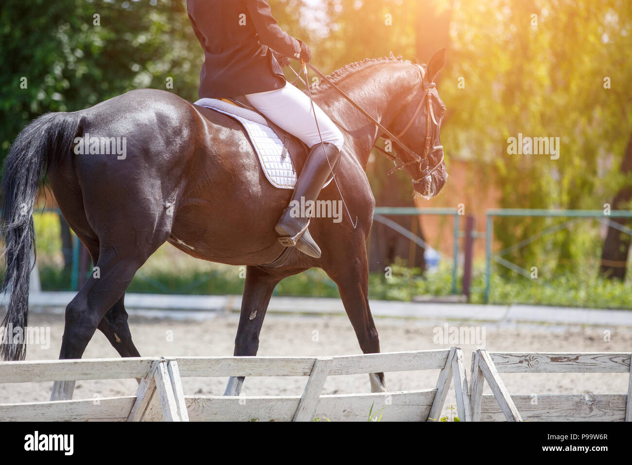 Joven en caballo en competición ecuestre Foto de stock