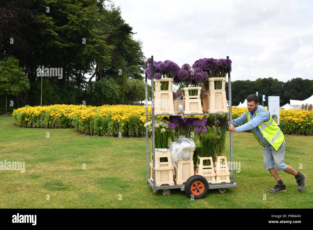 Tatton Park, Cheshire, Reino Unido. El 17 de julio de 2018. Expositores hacer los toques finales a sus exposiciones de crédito: Simon Maycock/Alamy Live News Foto de stock