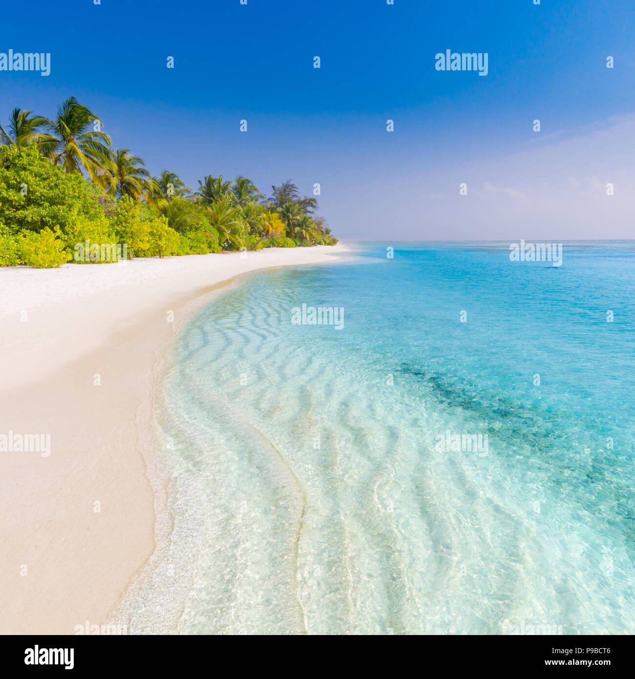 Playa tranquila banner. Palmeras y asombrosas vistas al mar azul con arena blanca Foto de stock