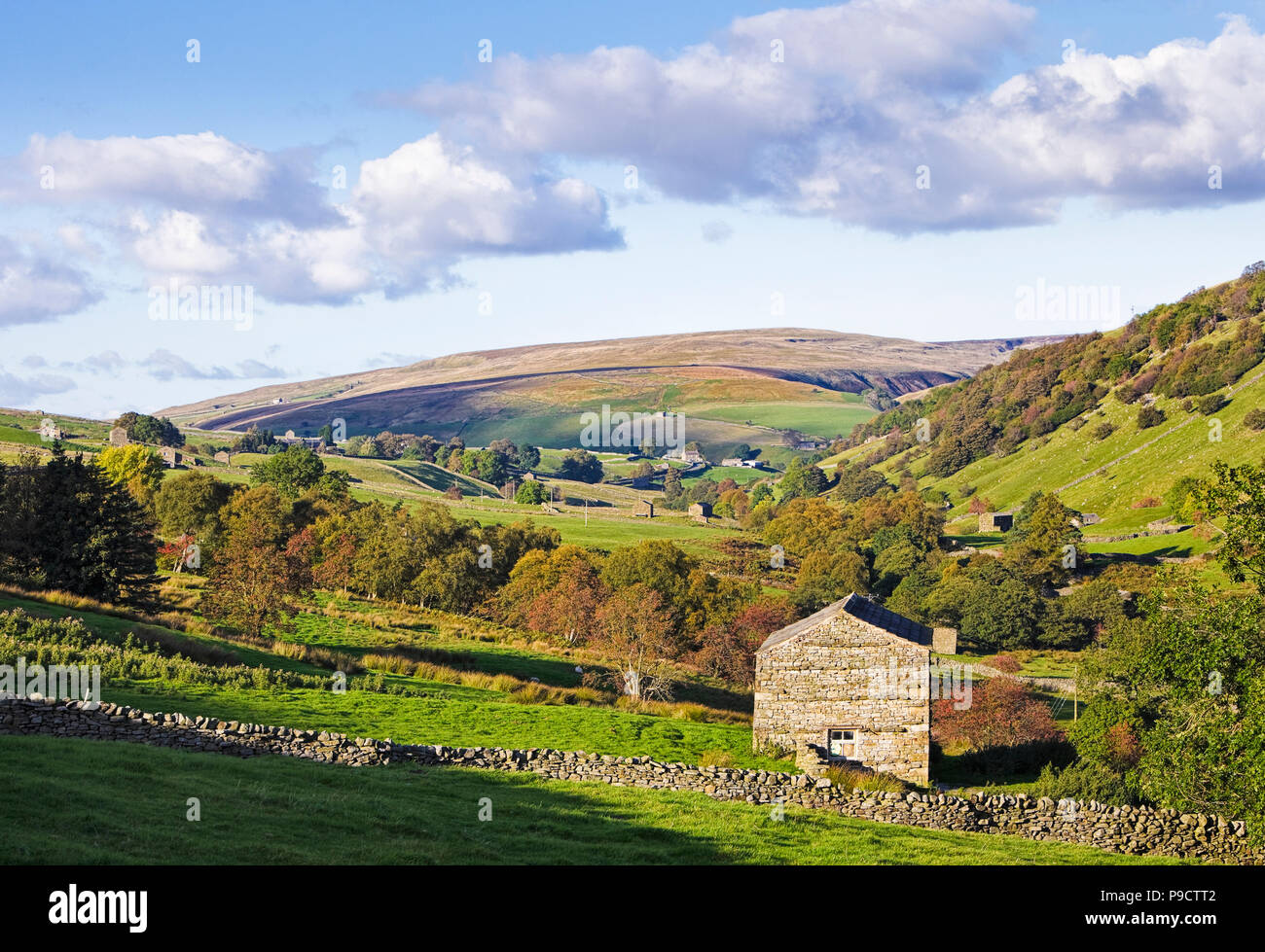 El hermoso paisaje de la campiña inglesa en Swaledale Yorkshire Dales National Park, Inglaterra Foto de stock