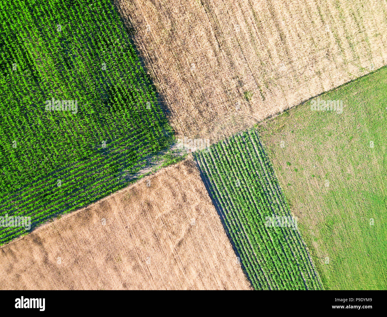 Intersección de campos, vista directamente desde arriba Foto de stock