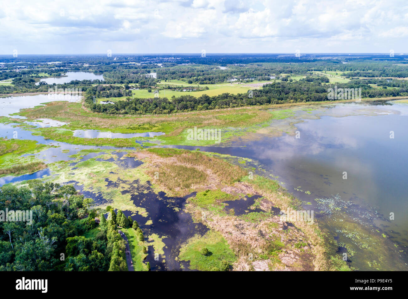 Lakeland Florida, Lake Parker, vista aérea, FL18071144d Foto de stock