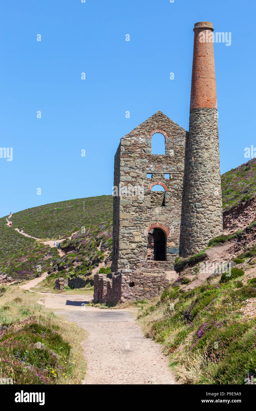 Pápula igual coates antigua mina de estaño sobre el acantilado, cerca de St Agnes cornwall verano británico Foto de stock