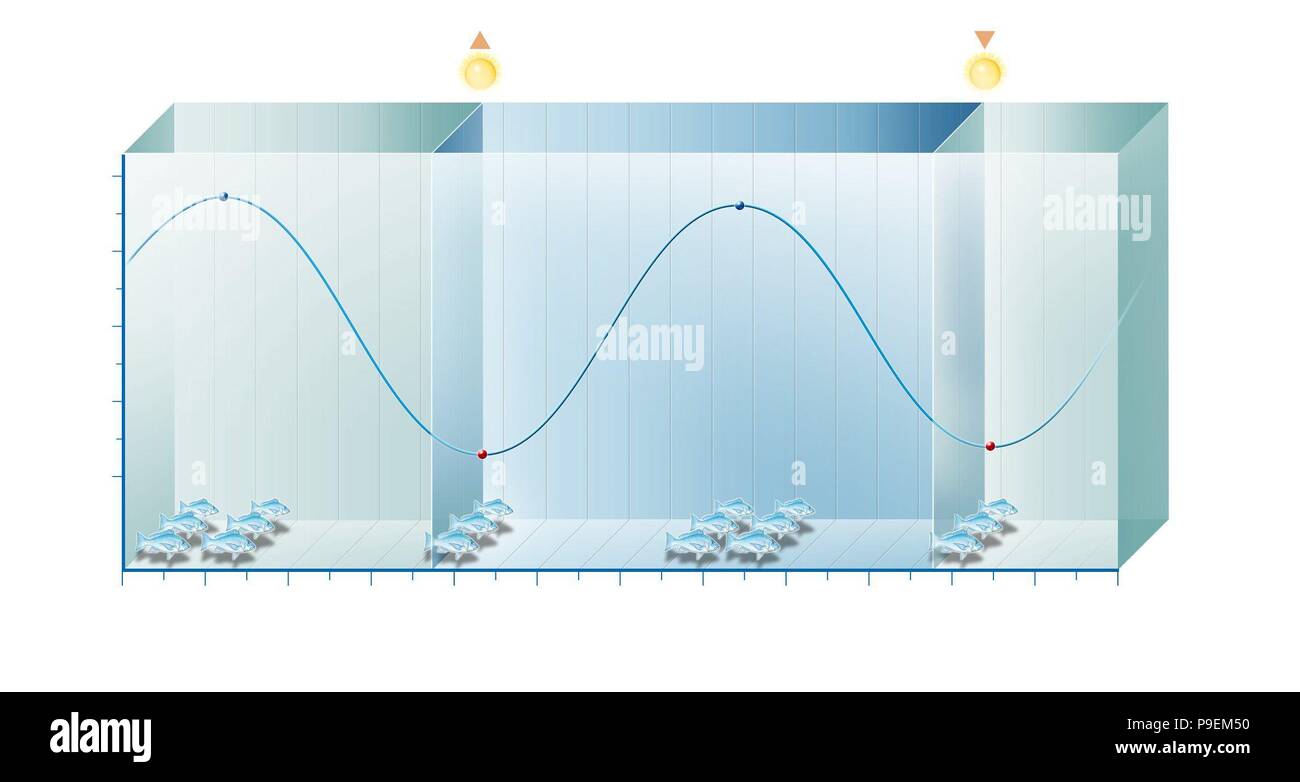 Tide timetable Im genes Recortadas De Stock Alamy