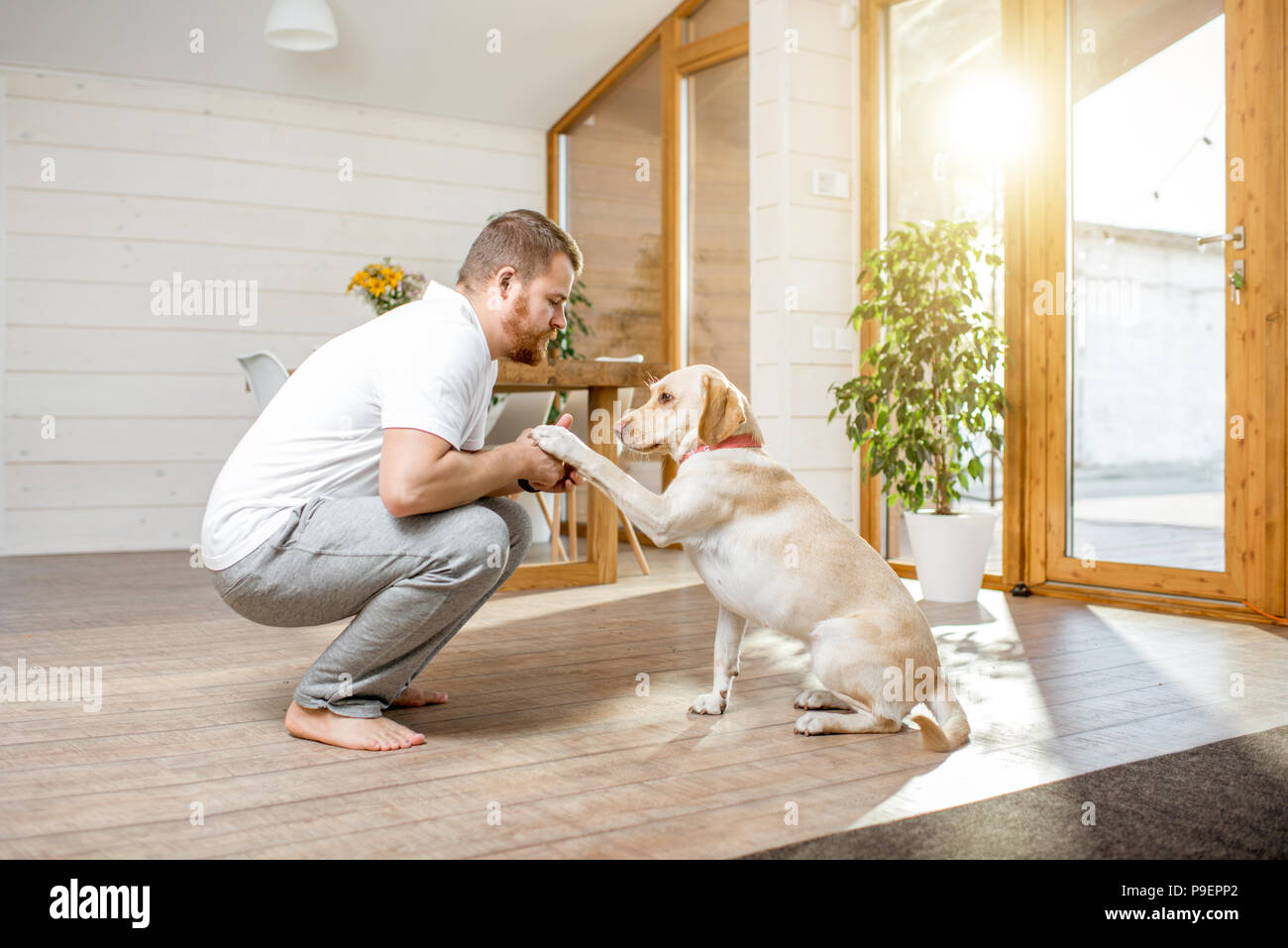 Hombre jugando con el perro de la casa Foto de stock