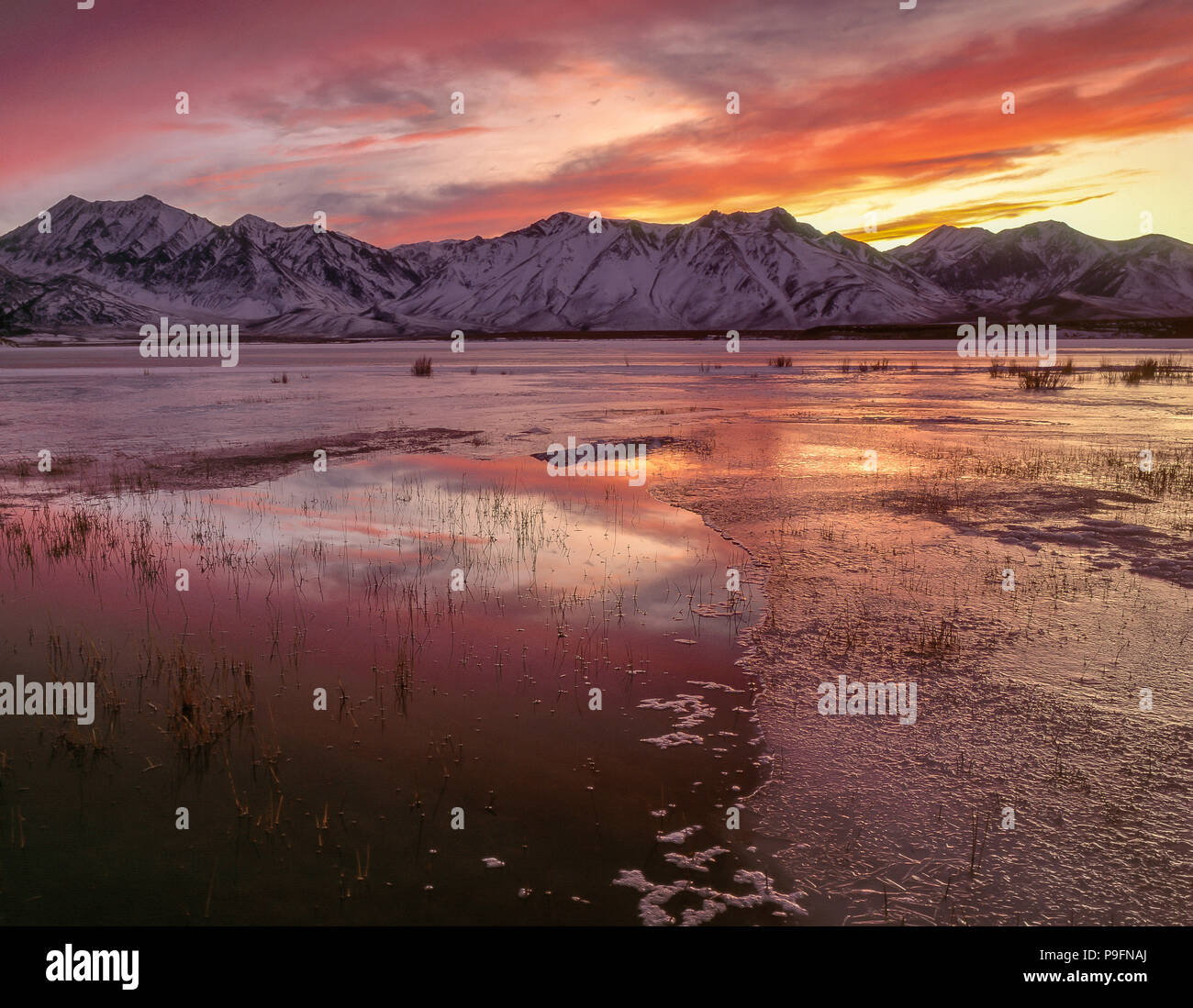 Sunset, Crowley, el lago, el Bosque Nacional Inyo, Sierra Oriental, California Foto de stock