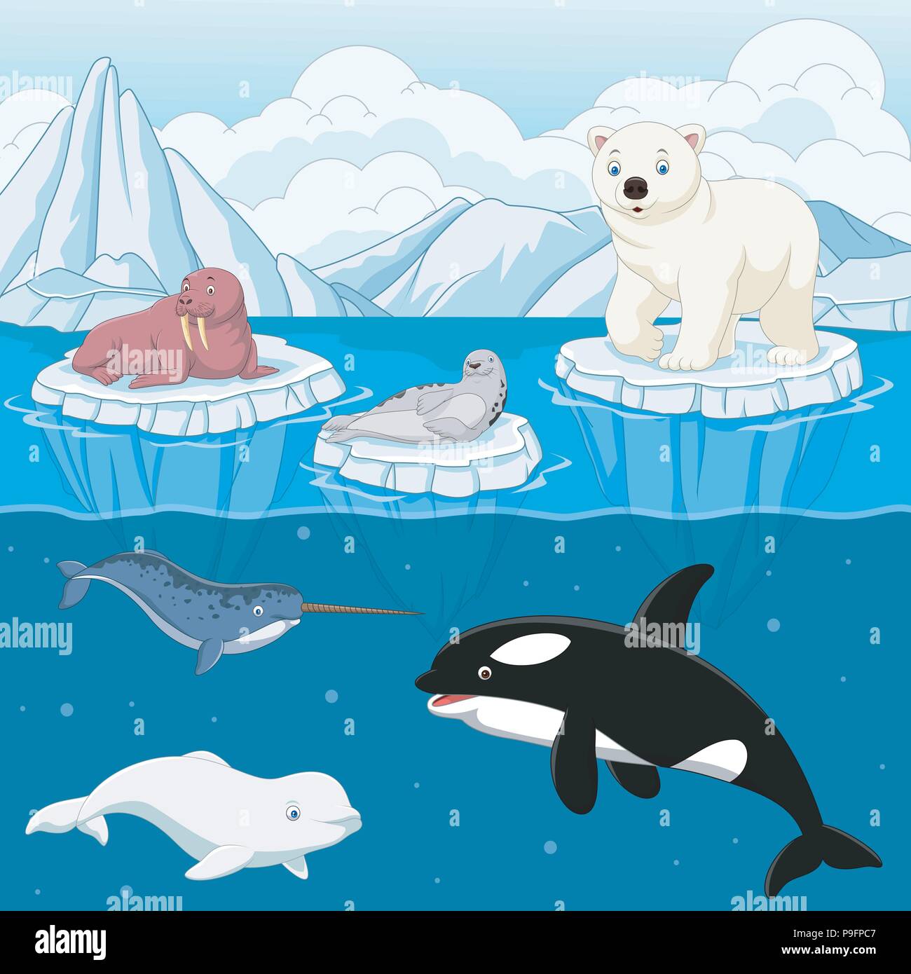 Cartoon Wild Arctic animal en el polo norte Imagen Vector de stock - Alamy