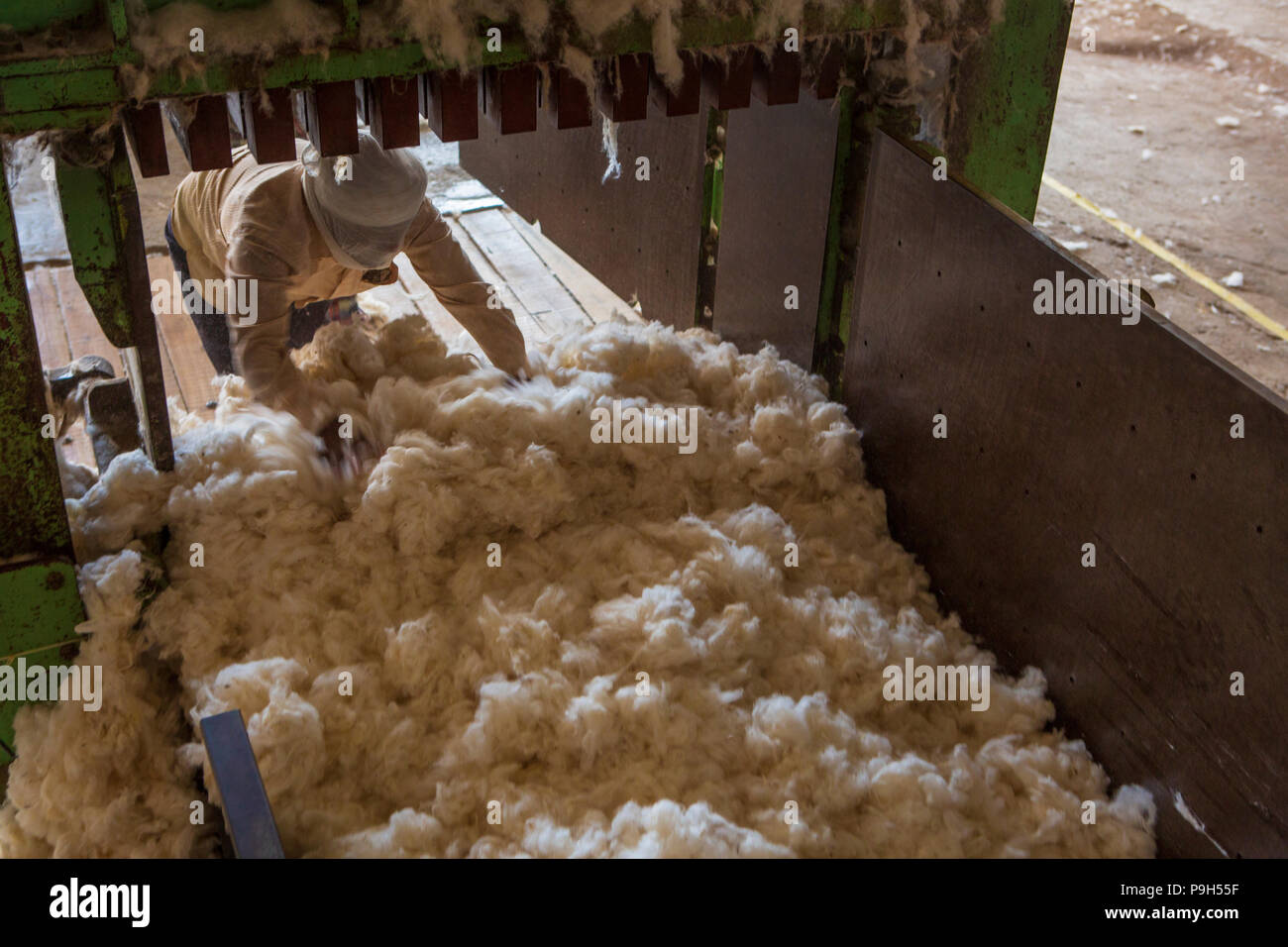 Ginebra de algodón fotografías e imágenes de alta resolución - Página 8 -  Alamy